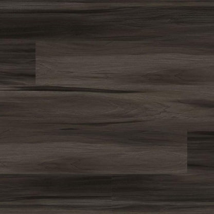 MSI - Everlife® Rigid Core (RC) Collection - Cyrus - Jenta Arko Flooring